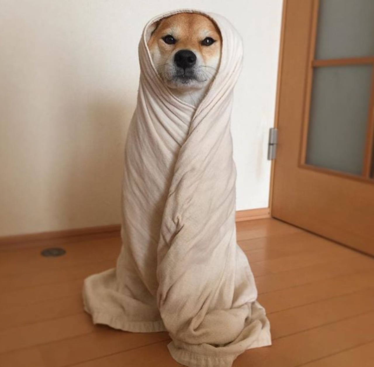 ploaix:  theomacchy:  eikvelniop:  mood   @ploaix  WOW! good stuff right here thank