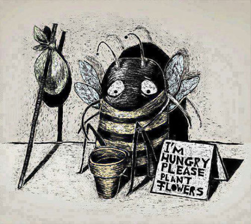 srsfunny:  Without Bees, This Planet Is Screwedhttp://srsfunny.tumblr.com/  Not really.   Without bees most first world countries would take a significant hit to the economy… thats about it.  *rolls his eyes*