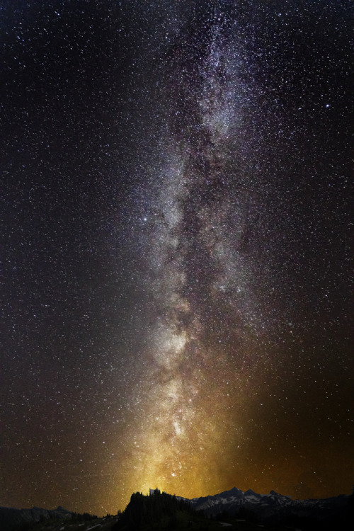 allthateverwasorwillbe:   If you will think of ourselves as coming out of the earth,rather than having been thrown in here from somewhere else,you see that we are the earth, we are the consciousness of the earth. These are the eyes of the Earth. And this