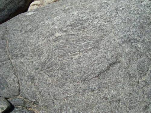 A granite is bornAt first glance these rocks snapped while wandering around some old mountain roots 