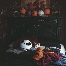 gothichomemaking:Whos already in the Halloween mood?✋ Who never left the Halloween mood? ✋