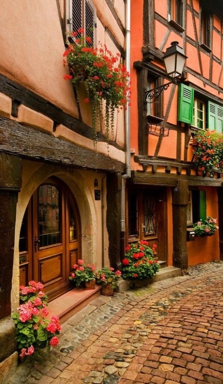    Cobblestone street in Alsace, France 