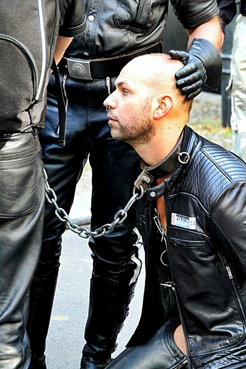 chrysis30: potentialrecruit:SIR YES PLEASE SIR! Nothing I like more than being held on a leash!