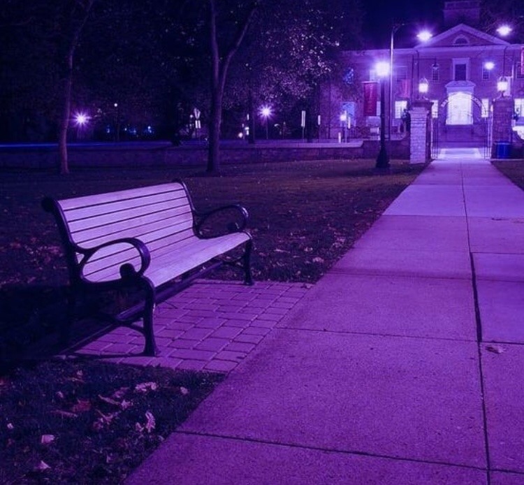 Purple on Tumblr: Image tagged with purple, purple blog, purple stuff