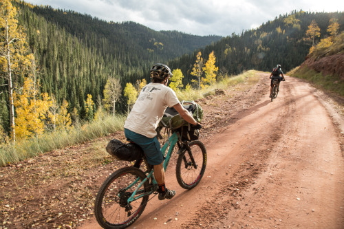 image of a man biking on a mountain road