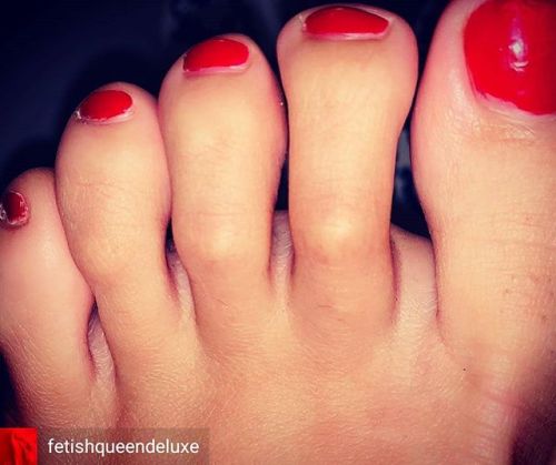 Reposted from @fetishqueendeluxe - Like red roses Lick my feet f*** slave!#femaledomination#footdomi