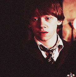 demetera: Weasley is Our King 