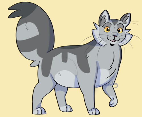 chickenly: its real cat hours