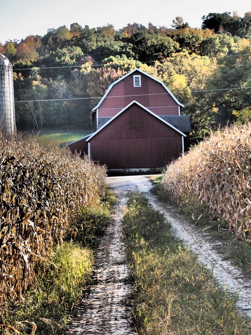 fashionmindlove:  Barn. 