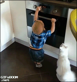 gifsboom:Cat Protects Little Boy From the