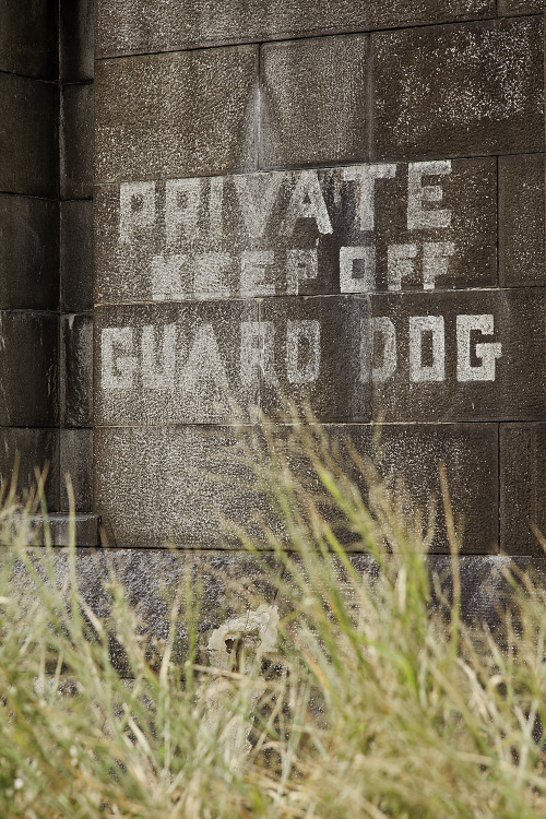 patgavin:  Fort Carroll, Baltimore, Md Pre-Civil War man-made defense island in the middle of the Patapsco River, designed by Robert E. Lee, abandoned for almost a century.   holy shit, this place looks amazing…never heard of it, but wow, that