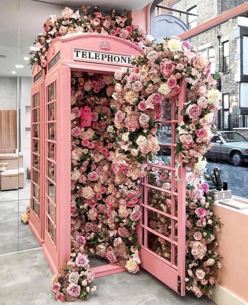 picsbeauty:  PICSBEAUTY ✨