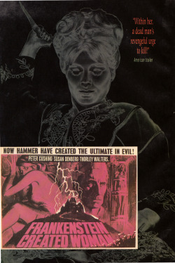  Page from Hammer Horror magazine no 5 (Marvel