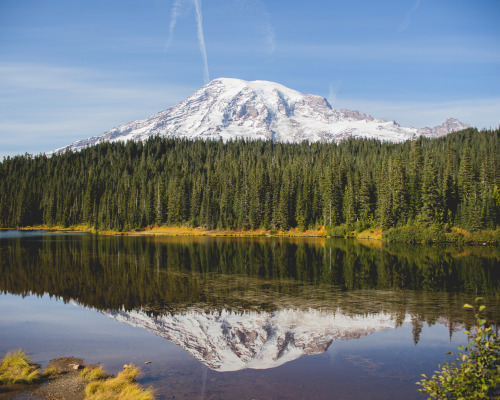 kaitlynefallon:Mt. Rainier