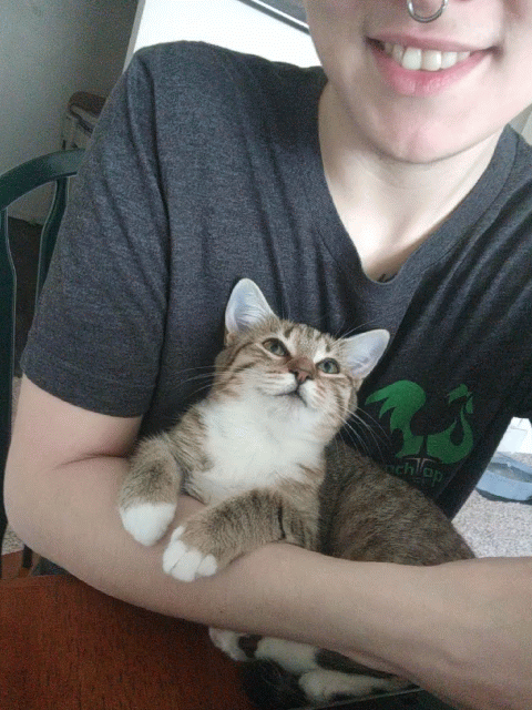 itsoofluffy