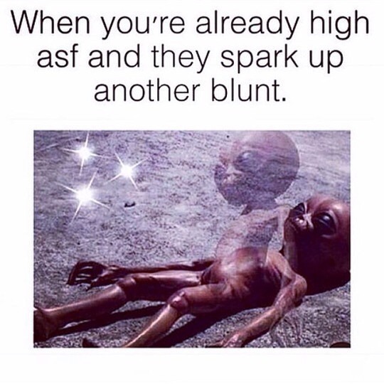 weedporndaily:  How many blunts before you tap out? #PuffPuffPassOut #weedporndaily