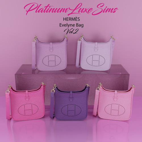 HERMÈS Evelyne Bag - Vol.2 (Deco) • 5 Swatches.DOWNLOADPatreon early access - Public 14th December. 