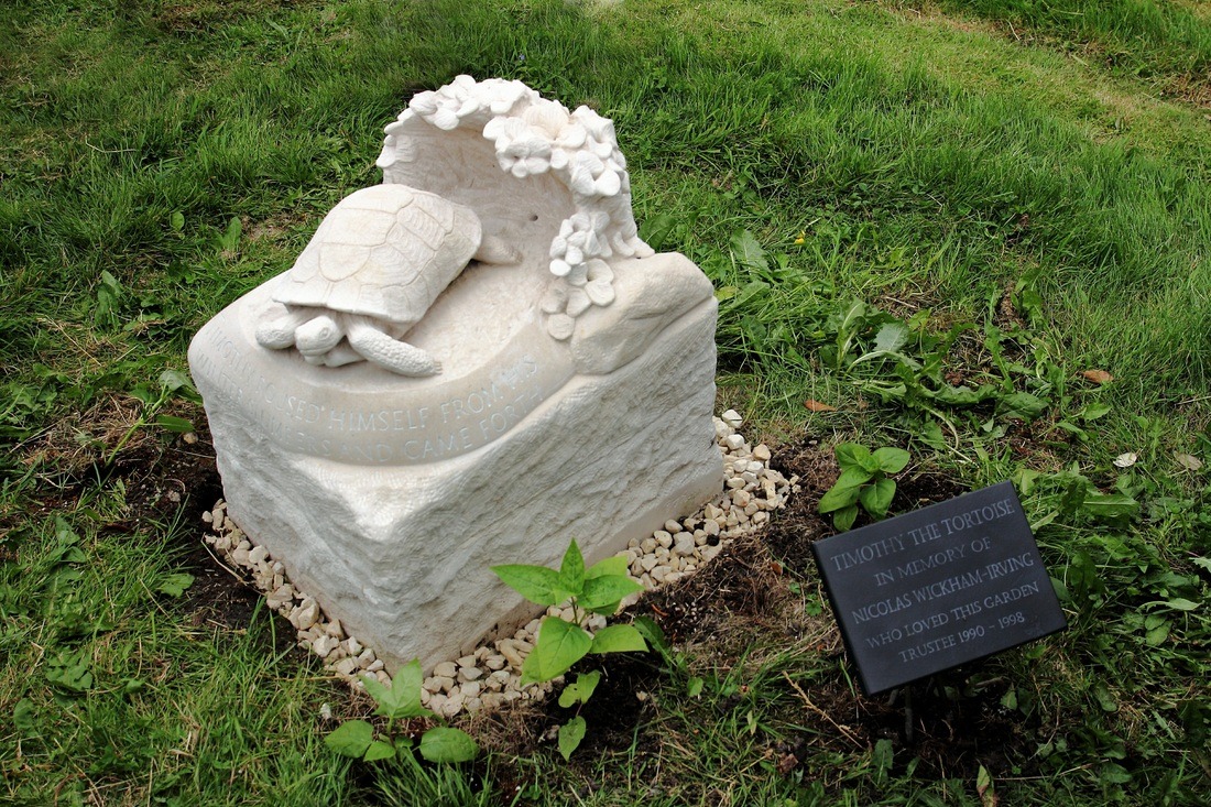 ultrafacts:   Timothy (c. 1839 – 3 April 2004) was a female Mediterranean spur-thighed