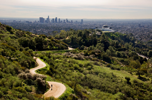 morbidology: Griffith Park is a large urban park located in Los Angeles, and is the home to a world-
