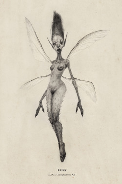 audreybenjaminsen:  FAIRY M.O.M. Classification: XX “The fairy is a small and decorative beast of little intelligence. Often used or conjured by wizards for decoration, the fairy generally inhabits woodlands or glades. Ranging in height from one to