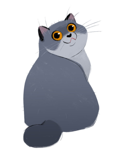 dailycatdrawings:609: British Shorthair