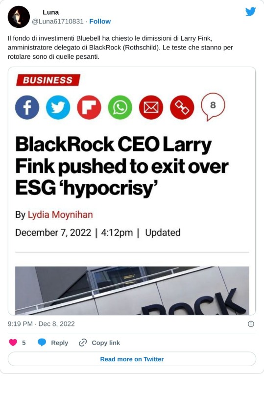 Il fondo di investimenti Bluebell ha chiesto le dimissioni di Larry Fink, amministratore delegato di BlackRock (Rothschild). Le teste che stanno per rotolare sono di quelle pesanti. pic.twitter.com/T9c7GWfwBi  — 🌛 Luna 🌛 (@Luna61710831) December 8, 2022