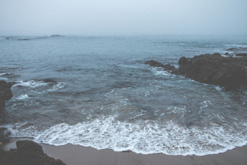 walkrightoffintothesea:  Foggy WatersFishermans Cove, 2017