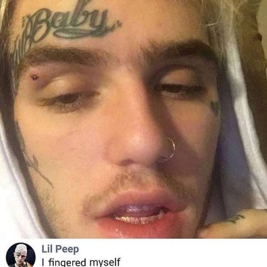 Tumblr media