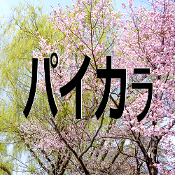 languagesandshootingstars - Seasons in Ainu 