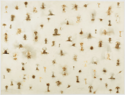 artspotting:Cai Guo-Qiang,  The Century with Mushroom Clouds, Gunpowder on Japanese paper