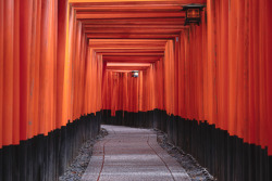 iesuuyr:Kyoto, Japan |    	Armont van Dyck 	  	 						 			     