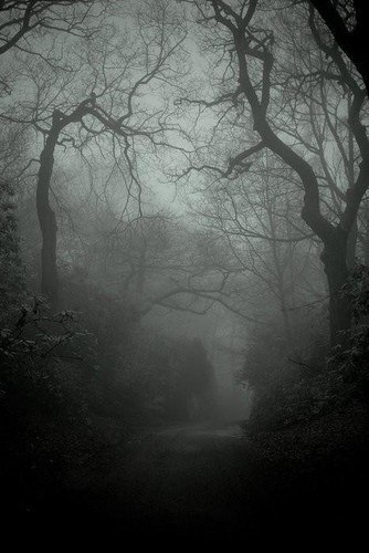 petermorwood:  wurmwood:  X  Photos so atmospheric you can squeeze the moodiness from them like juice from a lemon. I can, anyway… 