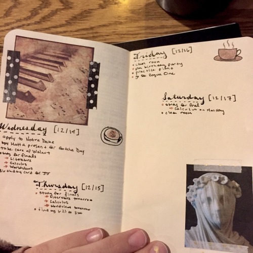 cafeblossoms:this week’s spread