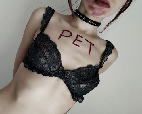 pet play