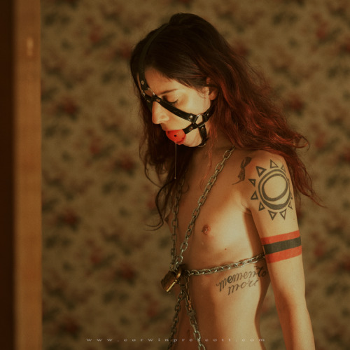 camdamage:  cam damage | by corwin prescott | on zivity 