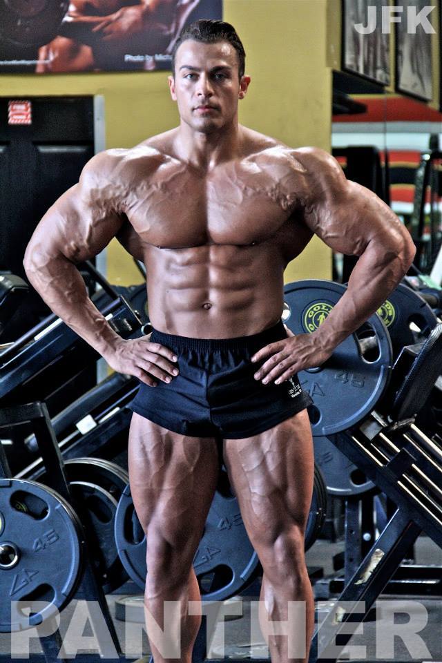 cdnlifter27:  Johan Fehd Karouani 