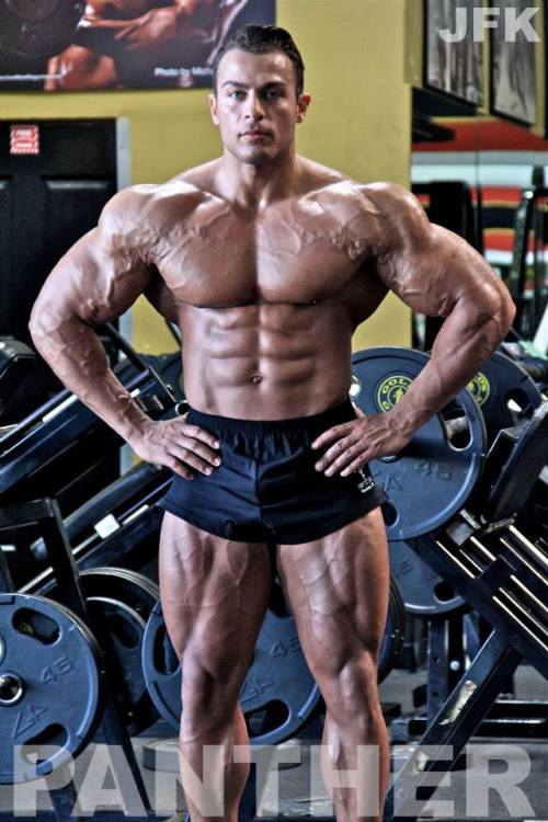 cdnlifter27:  Johan Fehd Karouani 