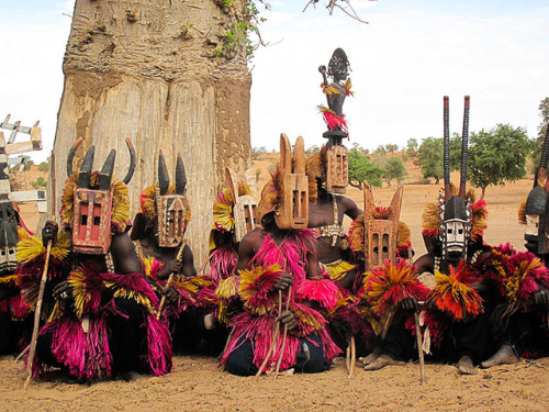 Dogon men in their ceremonial attire; Mali, West Africa