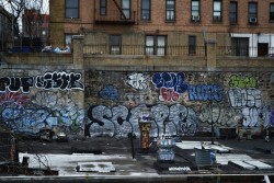 cenotaphic:  1 train passing in front of graffiti in The Bronx.