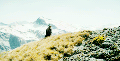wrathandruin-blog:  Do not speak to me of dragon fire. 
