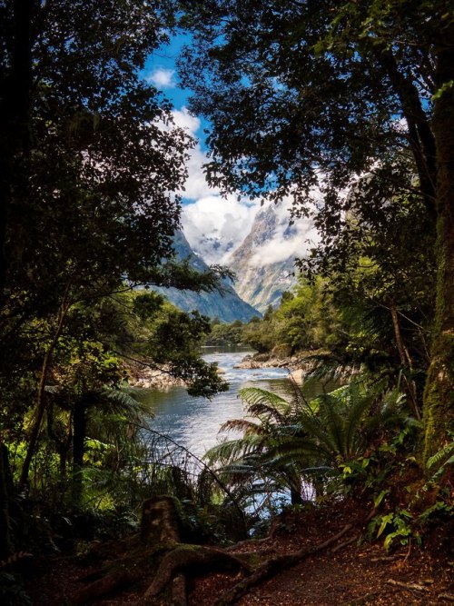 Hidden views in Milford Sound / New Zealand (by P.D.M. Photography).