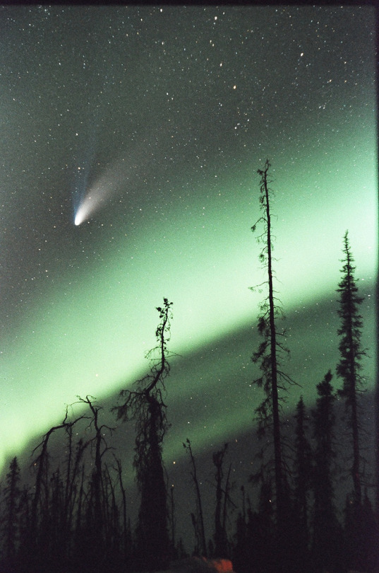 Comets By David Cartier
