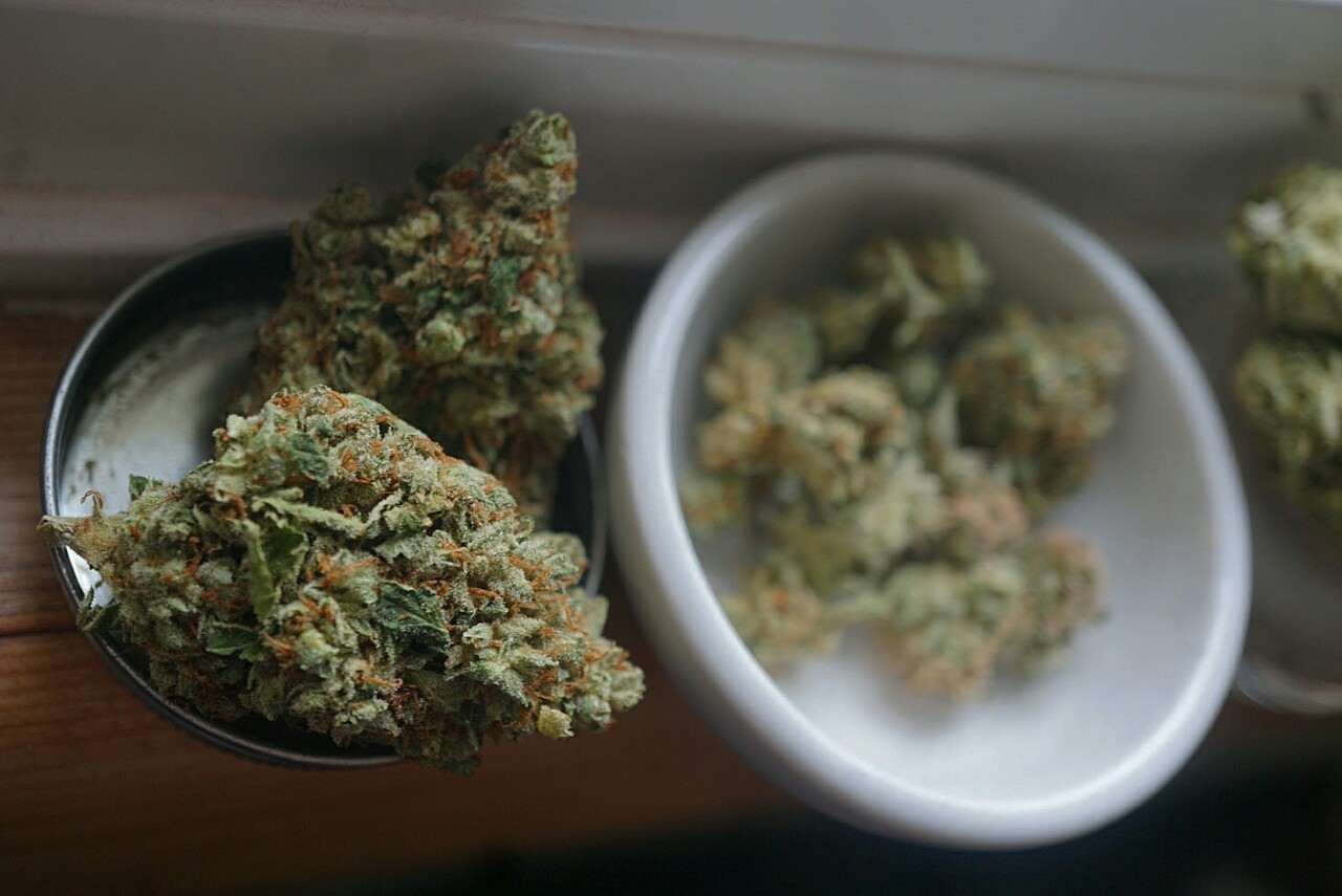 mice-teeth:  sour tangie, J1, cinnex, orange velvet and thc pro 😥😛 