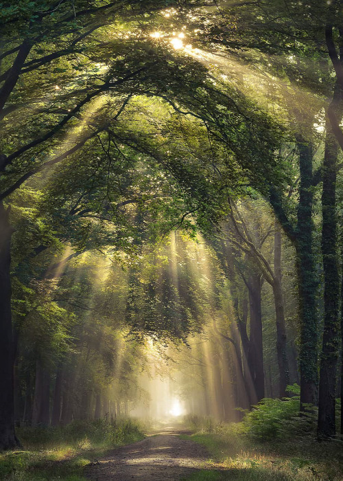 coiour-my-world:Overture | by rob_visser_photography