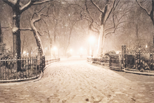 new york city in the snow madison square park