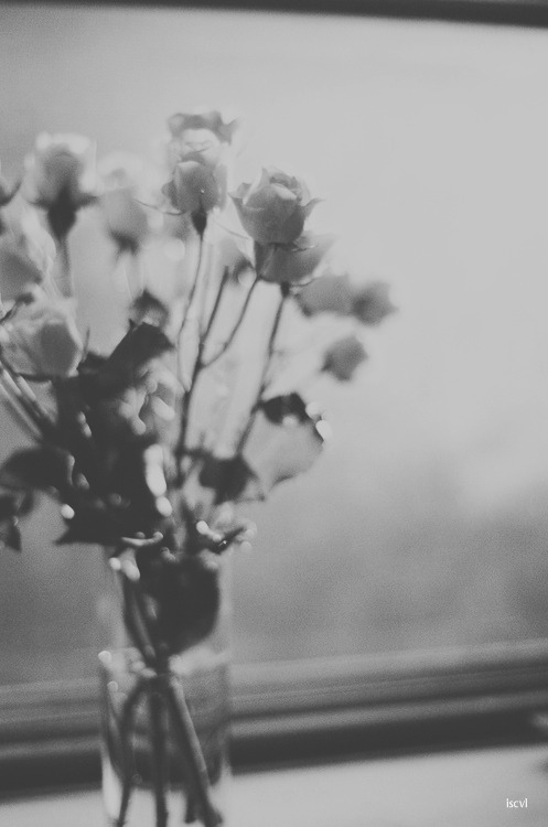vitalum:  ❑