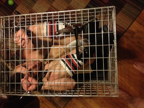 slavepupboy:  #puppyplay #humanpup #dogslave porn pictures