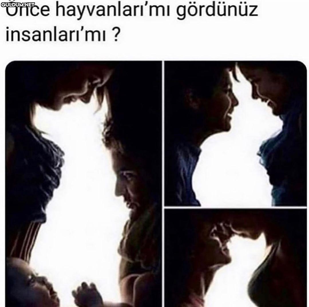 hayvanları görenin...