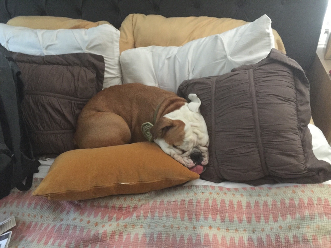 nap time ZzZzz