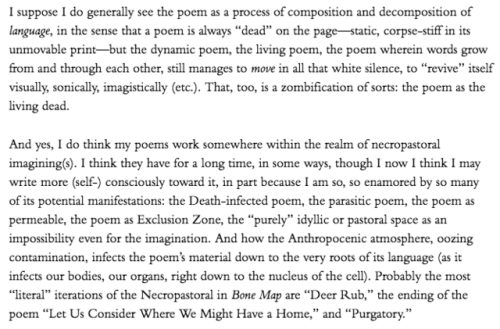 Sara Eliza Johnson, interviewed by Emilia Phillips for 32Poems (x)